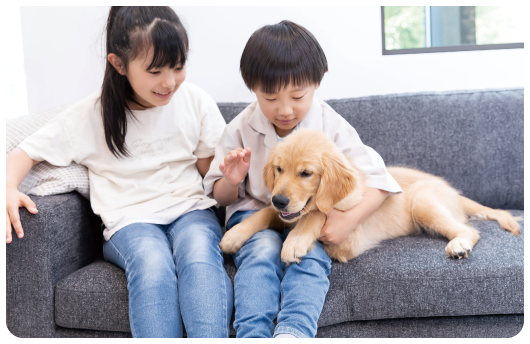 Dogs with Family Styleイメージ02