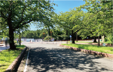 海の中道海浜公園