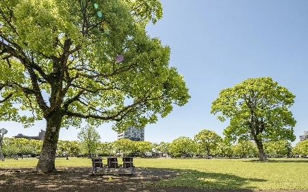 画像：宮崎県総合文化公園